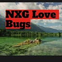 NXGlovebugs