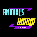 animalsworld6