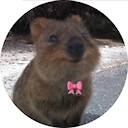 QtheQuokka