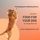 shopthisdogslife