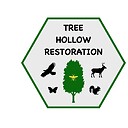 TreeHollowRestoration