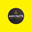 Amn47facts