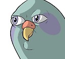 Retarded_Pigeon