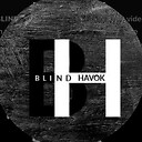 BlindHavok