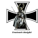 TeutonicKnight1488