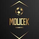 Molicek