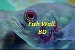 fish wall bd