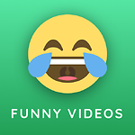 funny videos