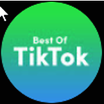 Tiktok Best Of