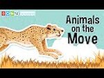 Grace in Motion: The Dance of the Animal Kingdom