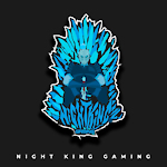 Night King Gaming