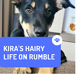 Kira's Hairy Life on Rumble