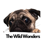 TheWildWonders