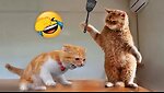 Funniest Animals 2023 😂 New Funny Cats and Dogs Videos 😻🐶 Part 1