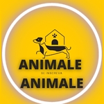 Animale animale