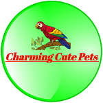 Charming Cute Pets