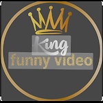 funny videos