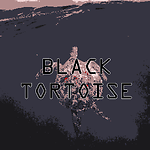 TheBlackTortoise