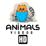 AnimalsVideosHD