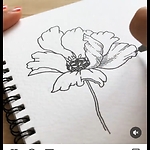 Amazingdrawingtricks