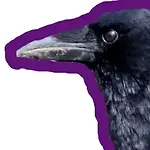 crowcrox