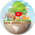 Save Animals Life