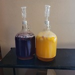 Making Honey Mead