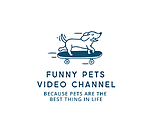 Funny Pet Videos Channel