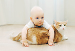 Animals & Babies Lovers