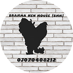 Brahma hen house (BHH)