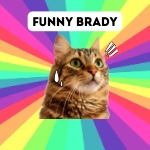 Funny Brady