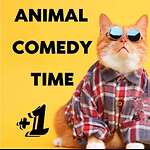 animale comedy time