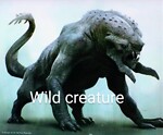 Wild creature fun and hunt