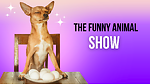 pawepic : The Funniest Animal Channel