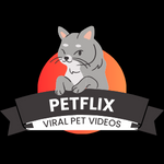 Viral Pet Videos