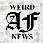 Weird News Daily