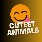 CUTEST ANIMALS