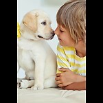 Pets and dog    child  funny video