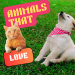 Animals that Love