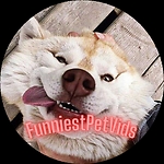 FunniestPetVids