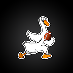 Dynasty Football Flock