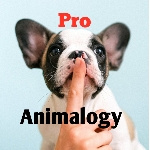 Pro Animalogy: The channel that makes you smarter about animals.