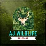 Aj Wildlife Telecast