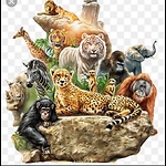 Wildlifeanimal #animal videos #wldlif animal videos #kinds animal videos