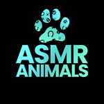 ASMR Animals