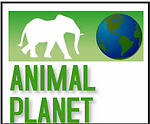 BBCEARTHWOULD Animal Chainal Newz UK