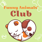 Funny Animals' Club