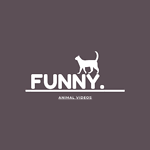 Funny Animal Videos