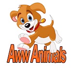 If you want to see your cute pet featured on this channel, click the submit your own videos to the following link below!