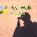 Real Walk Videos